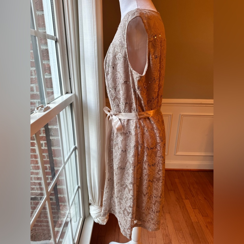 Candalite Petite Lace Dress - Picture 2 of 5